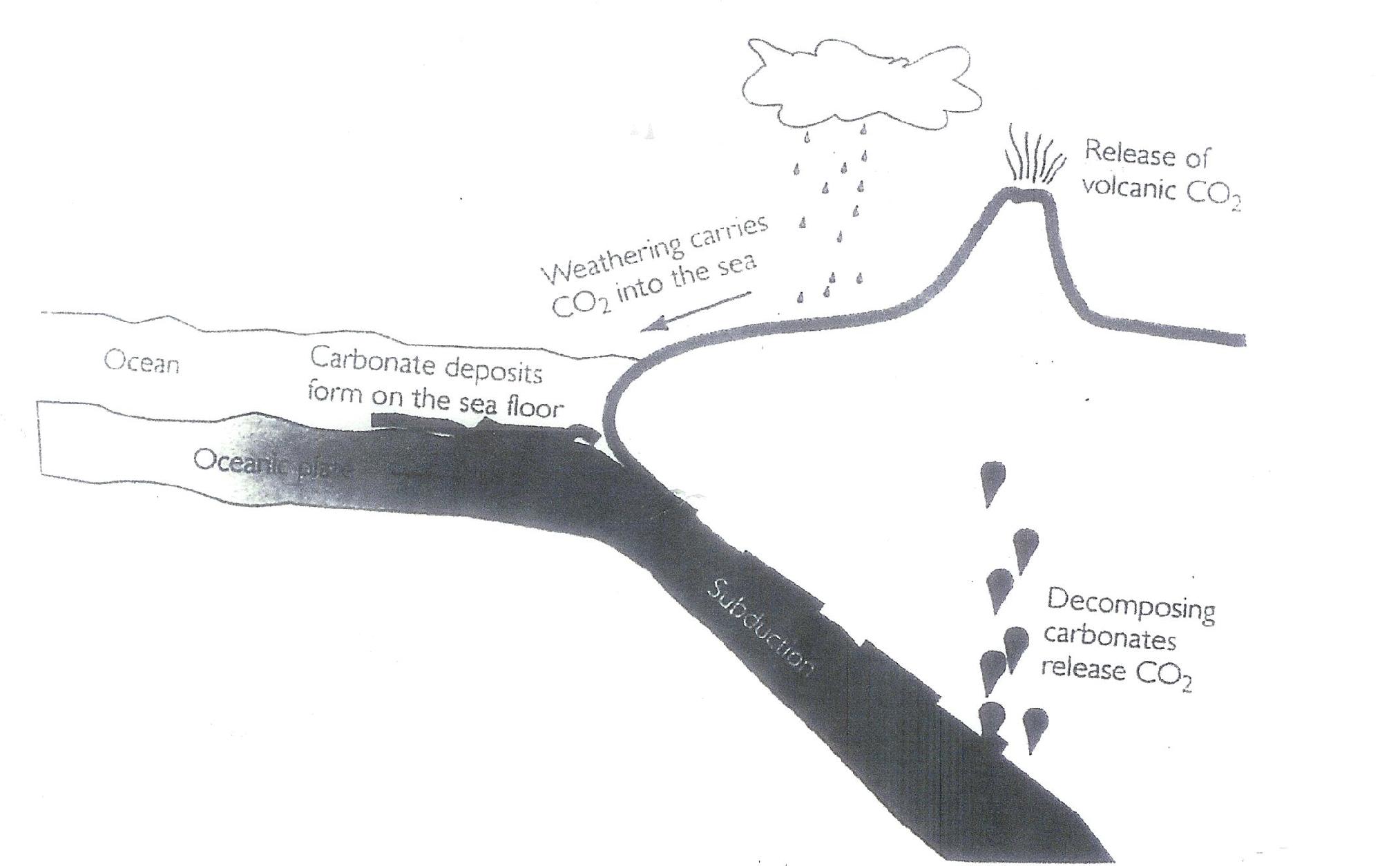 Cycle of carbon dioxide production